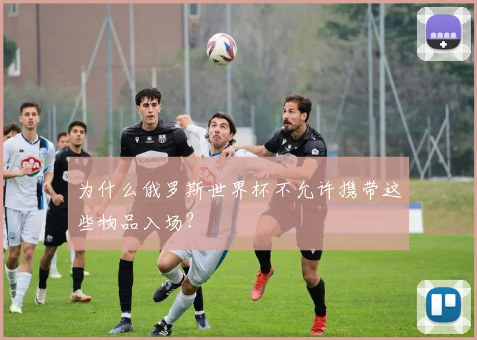 为什么俄罗斯世界杯不允许携带这些物品入场？