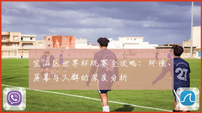 宝山区世界杯观赛全攻略：环境、屏幕与人群的深度分析