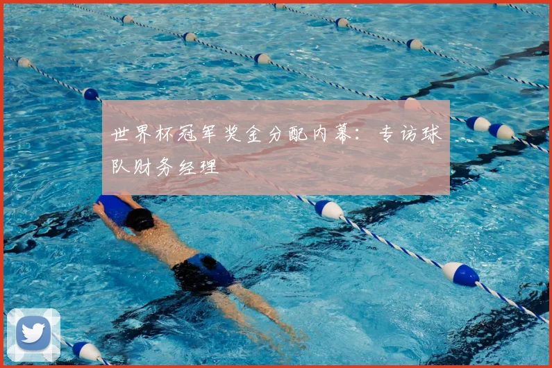 世界杯冠军奖金分配内幕：专访球队财务经理