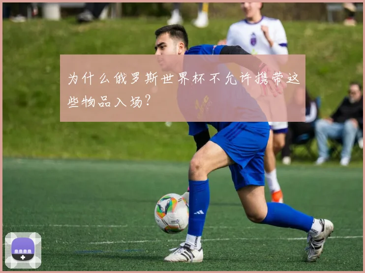为什么俄罗斯世界杯不允许携带这些物品入场？