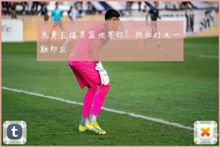 免费直播男篮世界杯！热血对决一触即发